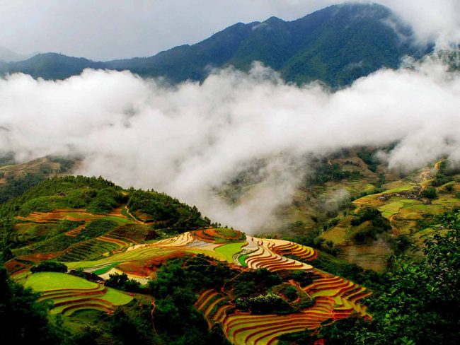 Chuyển phát nhanh Sài Gòn Sapa cùng EMS Việt Nam Chuyen phat nhanh Sai Gon Sapa cung EMS Viet Nam