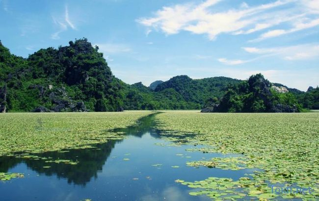 chuyển phát nhanh huyện mỹ đức CHUYỂN PHÁT NHANH