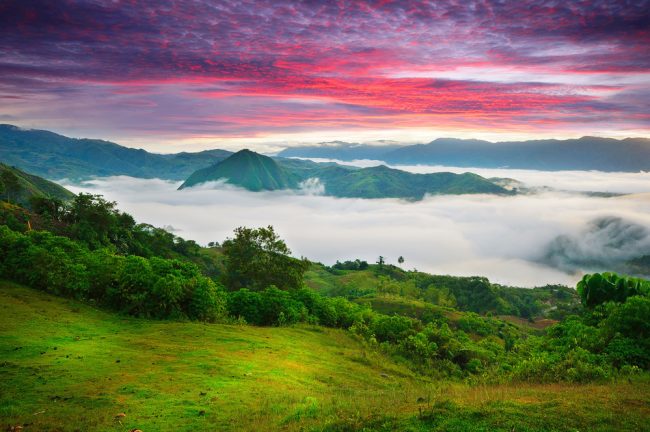 aaChuyển-phát-nhanh-từ-Hà-Nội-đi-Bukidnon-Philippin-của-IndochinaPost