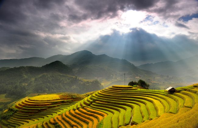 dg_150723_ruongbacthangtuyetdep