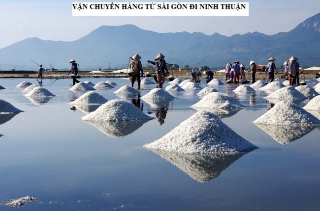 van-chuyen-hang-tu-sai-gon-di-ninh-thuan