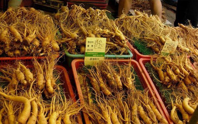 nhap-khau-sam-han-quoc