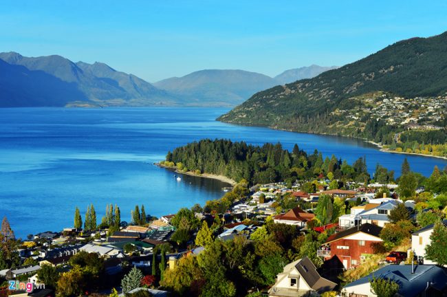 new_zealand_zing_11_1