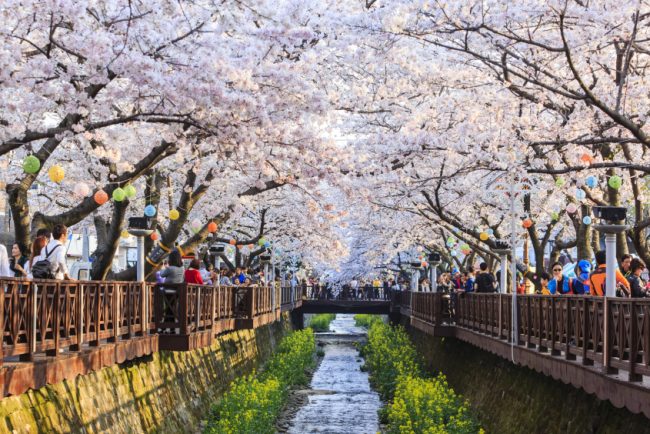 Take a trip to South Korea