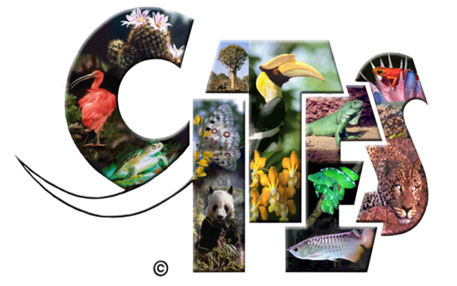 cites-1 công ước cites