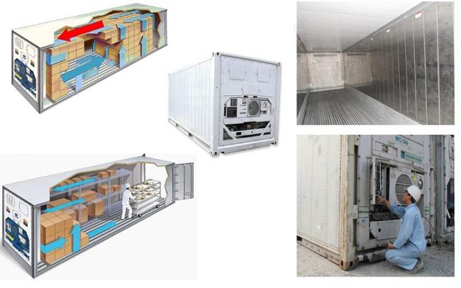 container lanh la gi container lạnh là gì