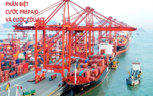 cuoc-prepaid-la-gi-indochinapost cước prepaid là gì