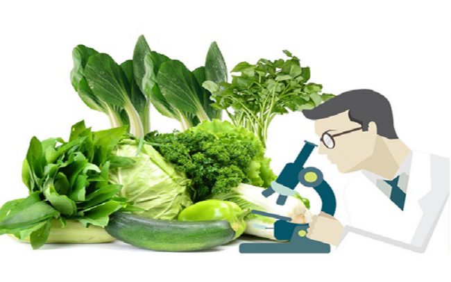 giay phep kiem dich thuc vat nhap khau 2 Giấy phép kiểm dịch thực vật nhập khẩu