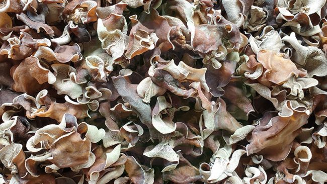 Vận chuyển nấm khô, mộc nhĩ khô đi Đài Loan nhanh chóng Vận chuyển nấm khô, mộc nhĩ khô đi Đài Loan nhanh chóng