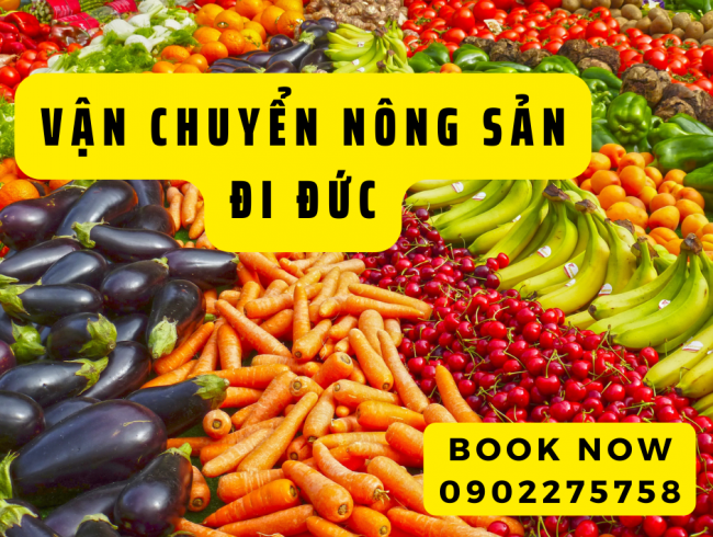 VẬN CHUYỂN NHANH CHÓNG GIAO TẬN NƠI HỖ TRỢ ĐOBNGS GÓI TIÊT KIỆM CHI PHÍ (1)