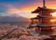 Vận chuyển đồ dùng cá nhân từ Việt Nam sang Tokyo