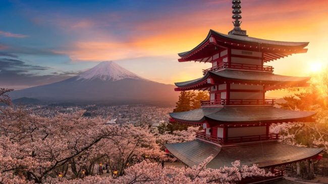 Vận chuyển đồ dùng cá nhân từ Việt Nam sang Tokyo Vận chuyển đồ dùng cá nhân từ Việt Nam sang Tokyo