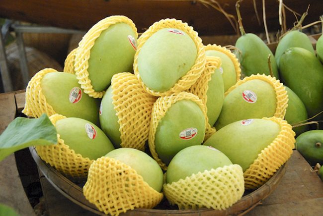 z5187704419420_785f93420a6a8ad8fde4b20fbe769e37 Quy cách đóng gói trái cây xuất khẩu