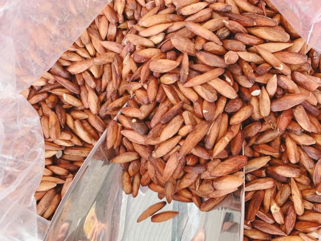 nem-thu-mut-hat-bang-con-dao-thom-ngon-quen-loi-ve-02-1655563851