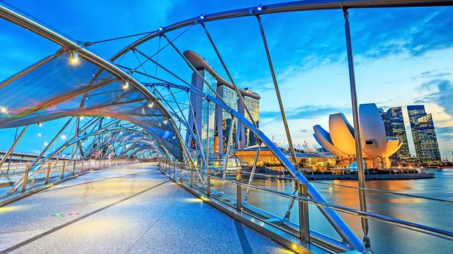 gui-cay-gia-tu-ha-noi-di-singapore Gửi cây giả đi Singapore