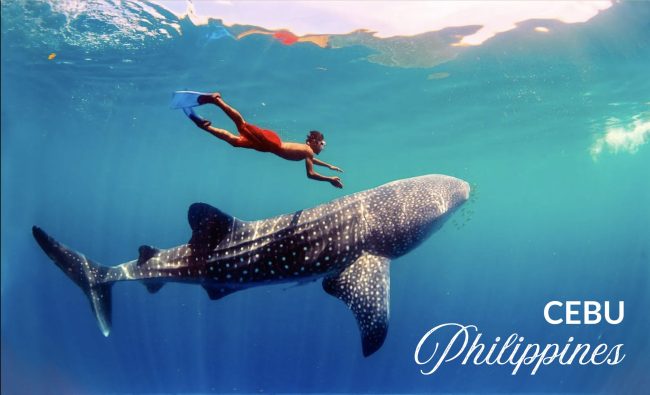 bien-cebu-philippines-scaled