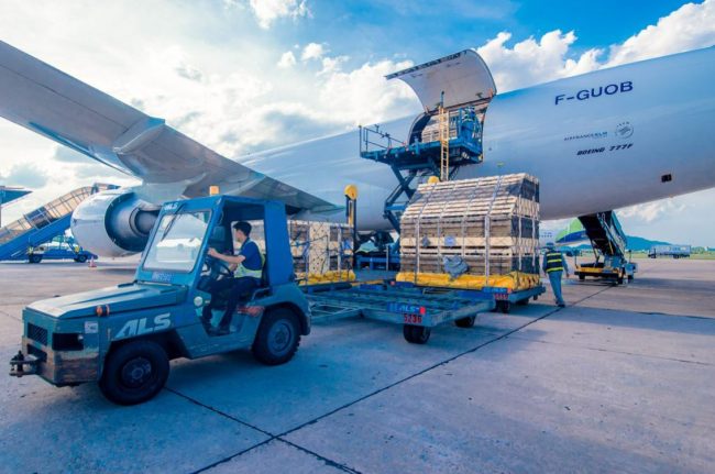 dich-vu-logistics-hang-khong-tai-ALS