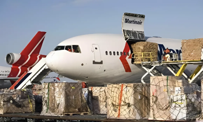 snapedit_1733234584439