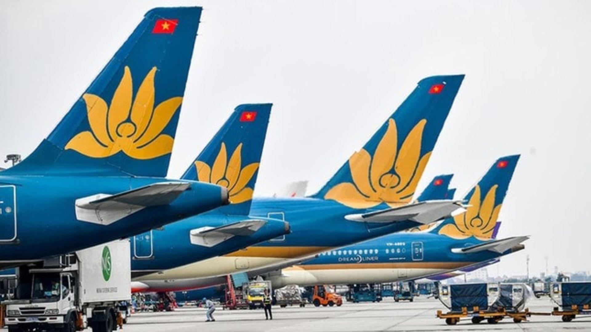 Chấp Thuận Cho Vietnam Airlines Mua 50 Tàu Bay Thân Hẹp Chấp Thuận Cho Vietnam Airlines Mua 50 Tàu Bay Thân Hẹp