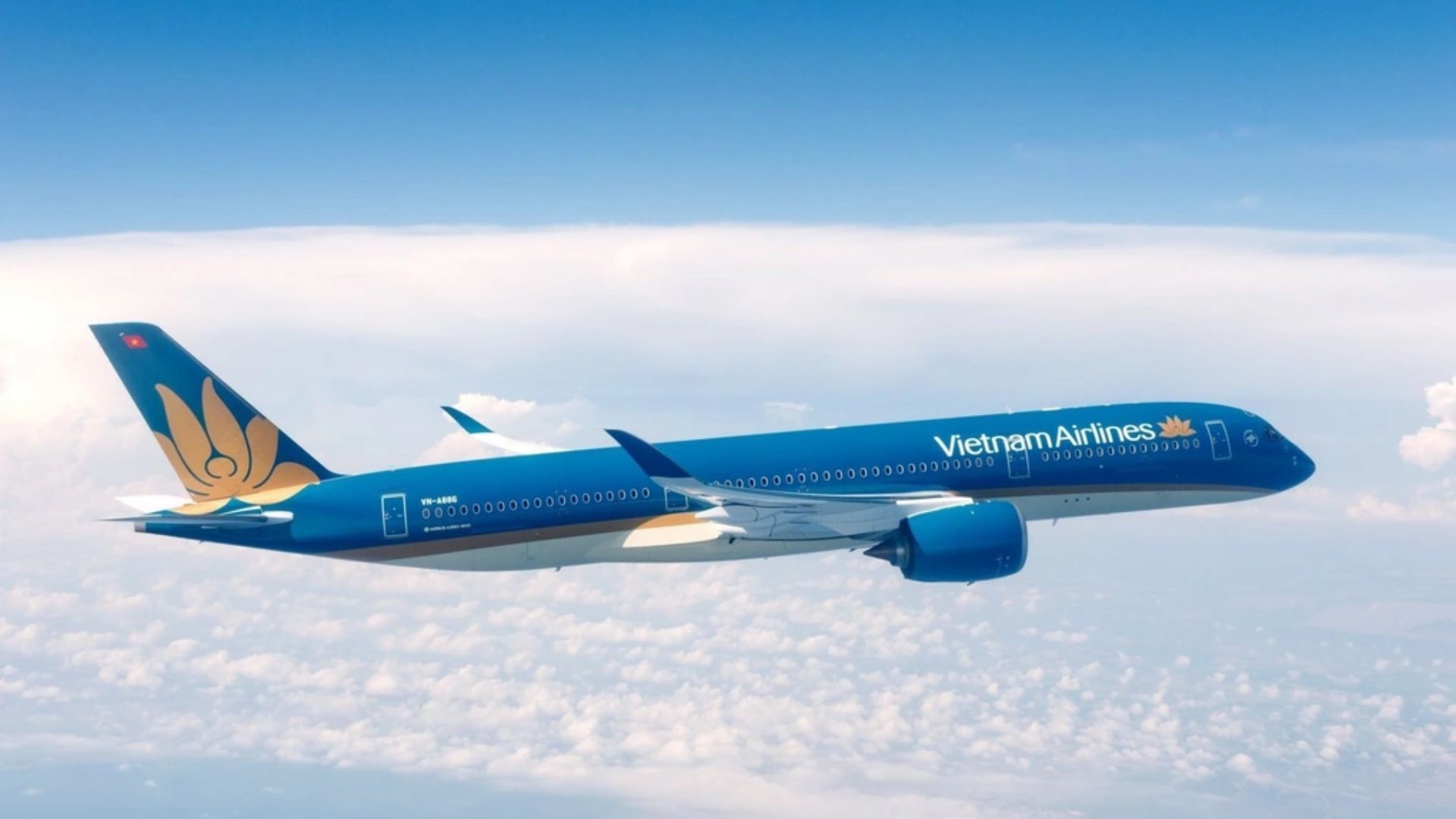 Chấp Thuận Cho Vietnam Airlines Mua 50 Tàu Bay Thân Hẹp Chấp Thuận Cho Vietnam Airlines Mua 50 Tàu Bay Thân Hẹp