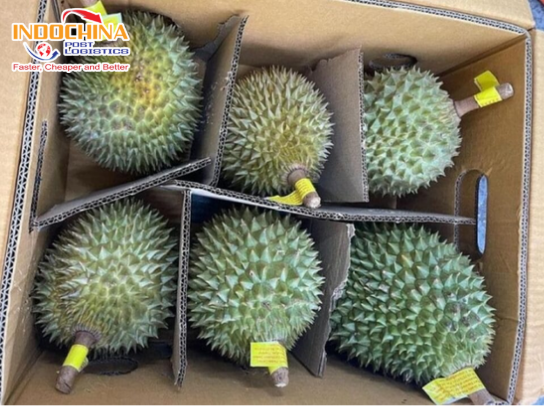 Vận chuyển sầu riêng từ HCM đi Australia