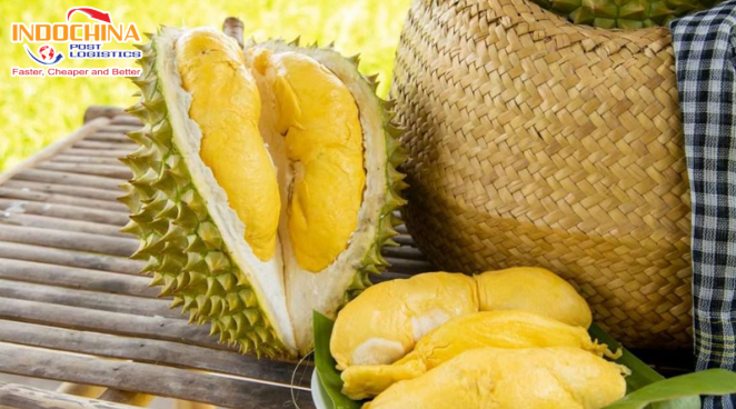 Vận chuyển sầu riêng từ HCM đi Australia