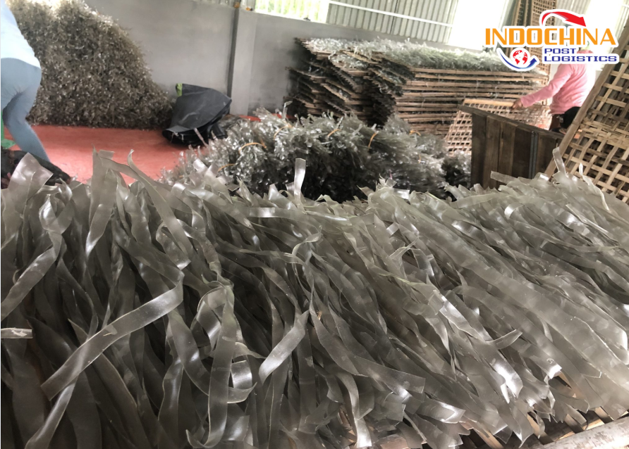 VẬN CHUYỂN MIẾN DONG TỪ VIỆT NAM ĐI PHÁP BẰNG ĐƯỜNG HÀNG KHÔNG