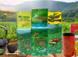 DỊCH VỤ BOOK TẢI VẬN CHUYỂN TRÀ THÁI NGUYÊN TỪ HÀ NỘI ĐI BANGKOK
