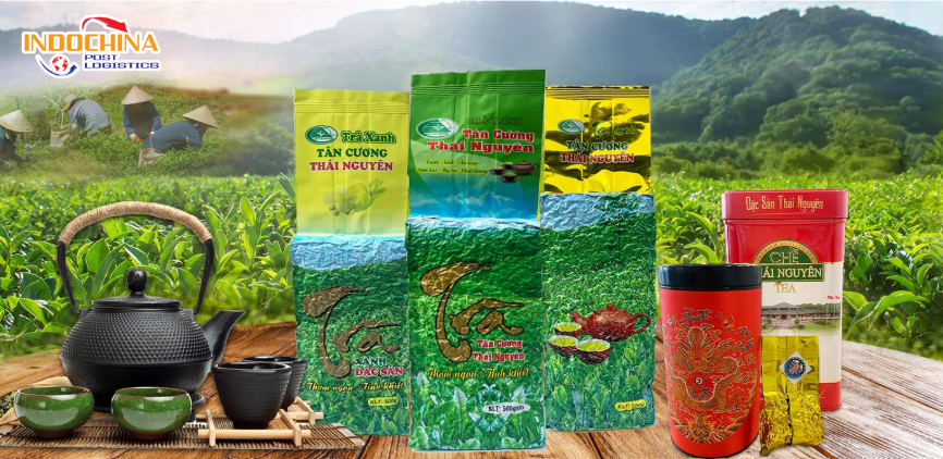 Vận chuyển Trà Thái Nguyên đi Pháp cùng IndochinaPost