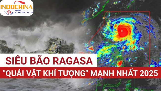 Hủy Chuyến Bay Từ Việt Nam Đến Hong Kong Vì Bão Ragasa Hủy Chuyến Bay Từ Việt Nam Đến Hong Kong Vì Bão Ragasa