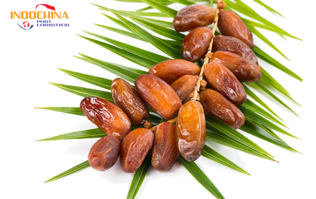Book Tải Vận Chuyển Quả Chà Là Từ Hà Nội Đi Bắc Kinh Cùng IndochinaPost