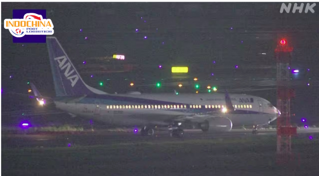 Máy bay Nhật Bản nghi va chạm đèn đường băng, phải quay lại sân bay Haneda