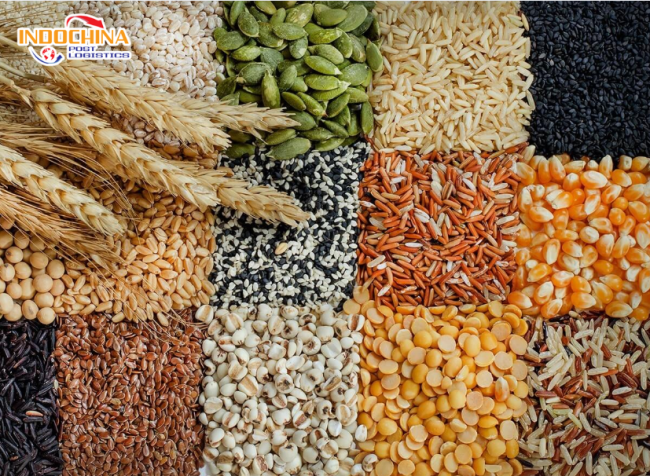 Dịch vụ book tải hàng không vận chuyển hạt ngũ cốc từ Hà Nội đi Tokyo cùng Indochinapost