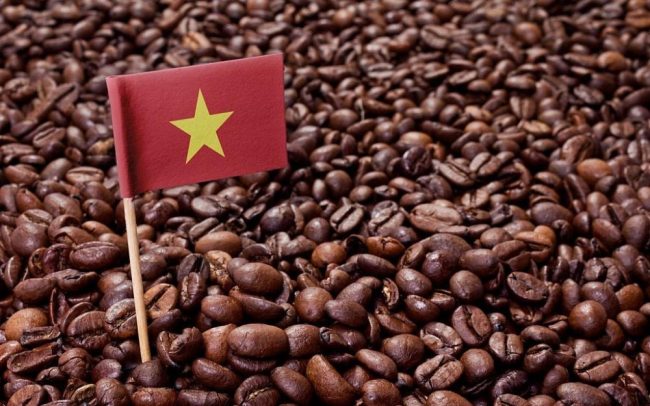 gioi-thieu-ca-phe-viet-nam-lich-su-phan-loai