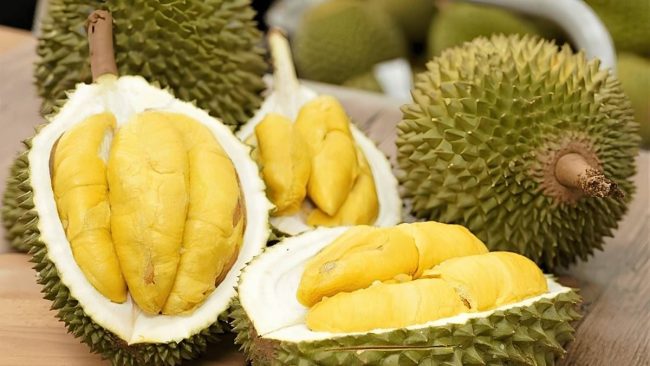 sầu riêng loại nào ngon nhất tl